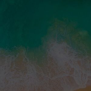 Meet your Posher, Esmee